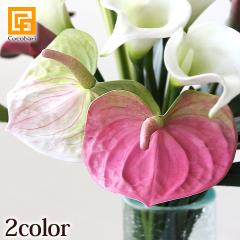 �▭�J���[�̃A���X���E�� ���� �썑 �A�[�g�t�����[ �A�[�g���[�t �g���s�J�� ������