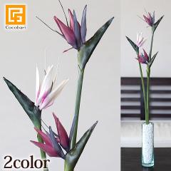 �X�g�����`�A(S) ���� �A�[�e�B�t�B�V���� �t�����[ �A�[�g �t�����[ �C���e���A �g���s�J�� �t�����[ �t�F�C�N ������� ���� ���A�� �{