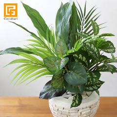 �썑���[�tMix  ���� �A�[�e�B�t�B�V���� �t�����[ �A�[�g �t�����[ �C���e���A �g���s�J�� �t�����[ �t�F�C�N ������� ���� ���A�� �{