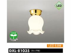 DAIKO/d@ DXL-81035@LED^V[OCg