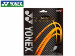 lbNX YONEX SGVA-773 \tgejXXgO V|ACCEL/V|ANZ iVCp[vj