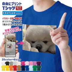 ���R�Ƀv�����g T�V���c �I�[�_�[���C�h �h���C glimmer 00300-ACT �O�ʃv�����g �o�b�N�v�����g �w������� �J���[T�V���c �N���X ���� 