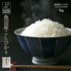 �� ���� 1kg �ߘa8�N�Y �V���� �����Y �R�V�q�J�� �����Ђ��� ���āy�Y�n�����z�M�t�g ���� ���Ε� ������