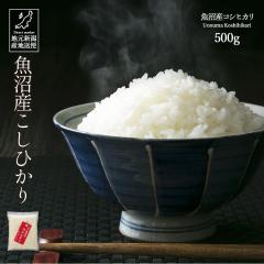 �� ���� 500g �ߘa8�N�Y �V���� �����Y �R�V�q�J�� �����Ђ��� ���āy�Y�n�����z�M�t�g ���� ���Ε� ������
