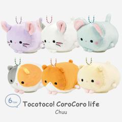 ポケモンセンターオリジナル ぬいぐるみビーズクッションむぎゅっと