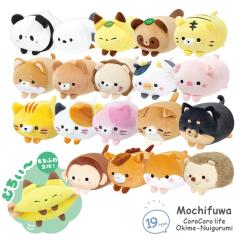 サンリオキャラクターズ ほわほわ ハンギョドン 2L ぬいぐるみ