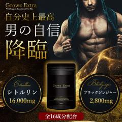 �}�J ���� �T�v�� �V�g������ 16000mg�z�� ���M���� �N���`���C�_�� �����I �u���b�N�W���W���[ �ɂ�ɂ� ���y �g���[�j���O �ؓ� �T�v��