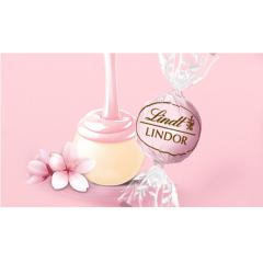 �z���C�g�f�[ �M�t�g �y�����z�����c �`���R���[�g�iLindt�j �����h�[�� ������&�N���[�� 3�� �M�t�g �v���[���g �g�����t �l�C �