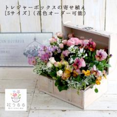 高級寄せ植え ギャザリング 作品 お店のカテゴリ 花うるる 花でうるおう毎日ネットショッピング 通販はau Pay マーケット