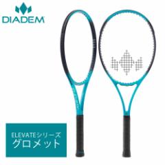 _CAf DIADEM ejXANZT[  Obg ELEVATEV[YΉ DIA-TFF002 