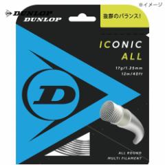 _bv DUNLOP ejXKbgEXgO  ICONIC ALL ACRjbNEI[ P 12m DST31001 