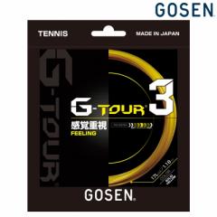 GOSENiS[ZjuG-TOUR3iW[cA[3j 17LGA TSGT32v dejXXgOiKbgj