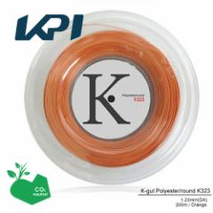 ySDGsvWFNgzyԌʉizyψZ[zwoׁx KPI(PCs[AC)uK-gut Polyester/round K323 200m[vd