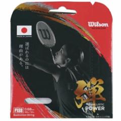 EC\ Wilson oh~gKbgEXgO  PX68 e THE BALLISTIC POWER P WR850040woׁx