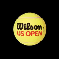 EC\ Wilson ejXANZT[  US OPEN 5 ~jW{T{[ WRT1415U