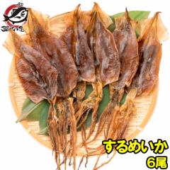 ���܂� ����� ����߂��� �X�����C�J 6������ �k�C���Y ���� ���Y�� ���� �X���� �C�J ���� �G�� �^�C�J ������� �����C�J �Ɩ��p ��