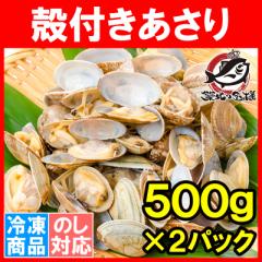  AT  1kg 500g~2pbN {C kt _炩|Aǂ_Vo܂y 育͂ N`E_[ {S