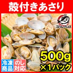  AT   500g {C kt _炩|AƂĂǂ_Vo܂y 育͂ N`E_[ {S 