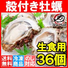 送料無料 殻付き 生食用カキ 生牡蠣 36個入り 冷凍殻付き牡蠣 生食用 新製法で冷凍なのに生食可能な殻付き牡蠣【冷凍 生ガキ かき カキ