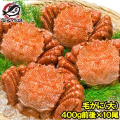 уKj ъI l䥂ŖтɎp 400gO~10 1P[X v4kg {C Ⓚ kCY ō I y Jj I ɖX JjX 