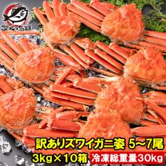 �󂠂� �Y���C�K�j �p ���v30kg�O�� 50�`70�� 3kg�~10�� �Ⓚ��ł��� �{�Y���C�K�j �{�C���Ⓚ �Y���C�I ���킢���� ���� �J�j �I ����