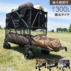 CV AEghAS EV[Y 2i ő366L 㕔g /Ȃ J L[S L[J[g e ܂肽 y1