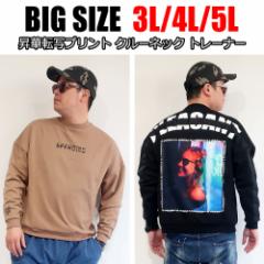 yzY 傫TCY XEFbg g[i[ 3L 4L XXL XXXL K[Yvg  ubN x[W LOTCY rbNV