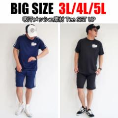 �y���������z �����Y �傫���T�C�Y �Z�b�g�A�b�v �n�[�t�p���c 3L 4L 5L �㉺�Z�b�g �㉺ ���[���E�G�A �� �l�C�r�[ ������ �p�W���} ��