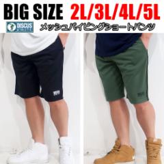 Y 傫TCY pc n[tpc uh DISCUS fBXJX z V[gpc Zp XEFbg 3L 4L 5L XXL XXXL 