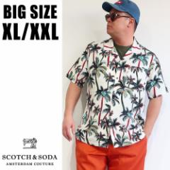 XRb`\[_ SCOTCH&SODA 傫TCY Y uh Vc  An Vc J݃Vc XL XXL 2L 3L t  H ][g 