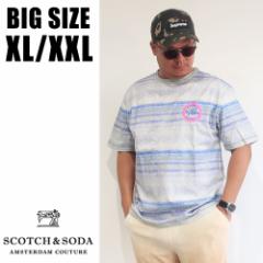 SCOTCH&SODA 傫TCY Y uh TVc  XL XXL 2L 3L {[_[  vg t  ][g l 30 40 50 X