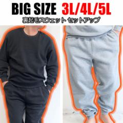 ���N�уX�E�F�b�g �㉺ �����Y �傫���T�C�Y �Z�b�g�A�b�v 3L 4L 5L �r�b�N�T�C�Y �L���O�T�C�Y �g���[�i�[ �p���c �X�E�F�b�g�p���c �� 