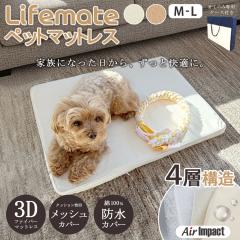 hybg}bgX / 60~90cm M-L  L h ybg}bg pC  pxbh ybgxbh hbOxbh pxbh q 