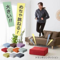 �g�����|���� �N�b�V���� 58�~58cm �t�@�u���b�N �|�P�b�g�R�C�� �N�b�V�����g�����|���� �G�N�T�T�C�Y ��l�p �q�� �É� �_�C�G�b�g �v
