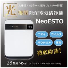 G}C@NeoESTO(lIGXg) 28p C@ tB^[sv ԕ rO _CjO ItBX  H wZ ƒ 