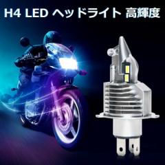 OPPULITE H4 oCN LED wbhCg  LUMILEDSАZES`bv zC |t tȒP  2Nۏ oCNp 1Zbg OPP-