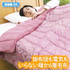 �g���d�C���炸��6�w�ѕz �V���O�� �R�� �h�L �y�� 1��2�� �ѕz �|�z�c�J�o�[ �|���J�o�[ �ۂ��ۂ� �Q�S�n �������� �Q�� ����@�� ��