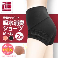 �yM�T�C�Y�͂���1���v���[���g���z �|�C���g5�{ 2���g ���f�B�[�X �z���V���[�c �z�����L�V���[�c ���Ղ܂��T�|�[�g�^�C�v ���f�B�[�X 