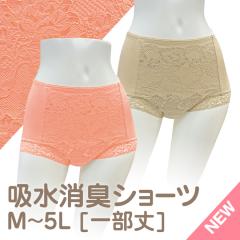 �z�����L�V���[�c 2���g �z�� ���L �R�ۖh�L ���n ���[�X �ꕪ�� �V���v�� �����p ���� �V���[�c �z���p���c ���փp���c �A�R��p���c �A