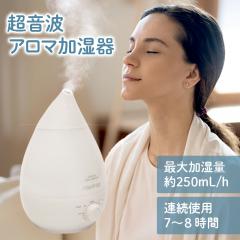  �����g�������� raydrop �㕔�����^ �����g�������� �����΍� �A�����M�[�΍� �n�E�X�_�X�g �@���΍� �������� �A���}������ ���� ��