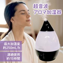  �����g�������� raydrop �㕔�����^ �����g�������� �����΍� �A�����M�[�΍� �n�E�X�_�X�g �@���΍� �������� �A���}������ ���� ��