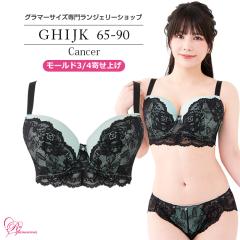 SALE uW[ 傫TCY Ci[   JPuiSP571j