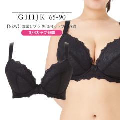 uW[ 傫TCY Ci[   yNEWzu  3/4JbvEJԁiSP543j