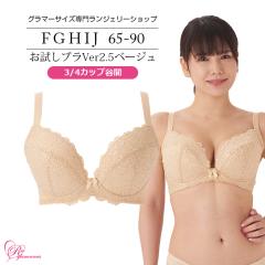 SALE uW[ 傫TCY Ci[   uVer2.5x[W@3/4JbvEJԁiSP-246j