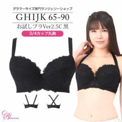 SALE uW[ 傫TCY Ci[   uVer2.5C  3/4JbvEۋiSP-387j