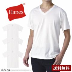 Hanes wCY 3g VlbN T TVc Y  Ci[ 3P HM1EU703 HM1EU706SyC3XzypP1zyAz̓