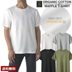 TVc  Y N[lbN bt  100 T[} I[KjbNRbggp Jbg\[ gbvX Lk z ʋC