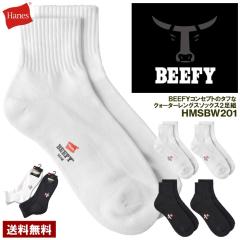 C \bNX Y BEEFY r[tB[ Hanes wCY 2g NH[^[OX n[tpC 2P Ki HMSBW201yZ9GzypP2z