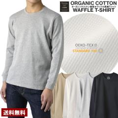 Y I[KjbNRbg bt TVc N[lbN ێ T[} Jbg\[ gbvX 100 Lk z ʋCyE1