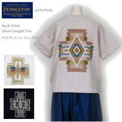 [2024tĐV] yhg tVc fB[X PENDLETON 4275-6105 obNvg V[gOX TVc Back Print Short Leng